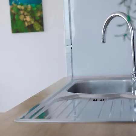 Laura 布罗达里卡