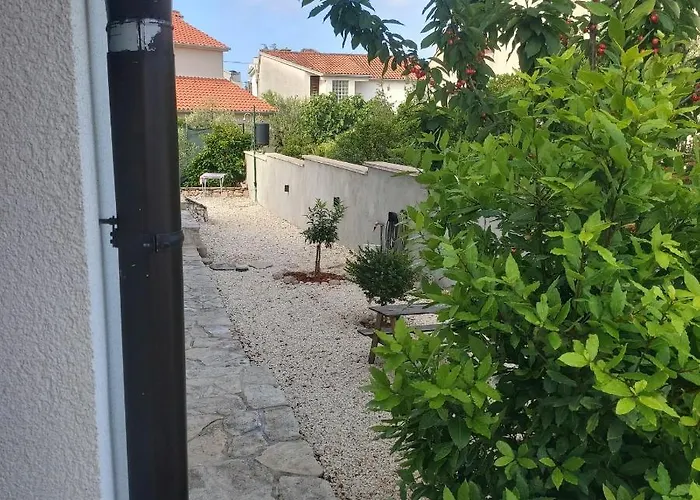 Laura ברודאריצה