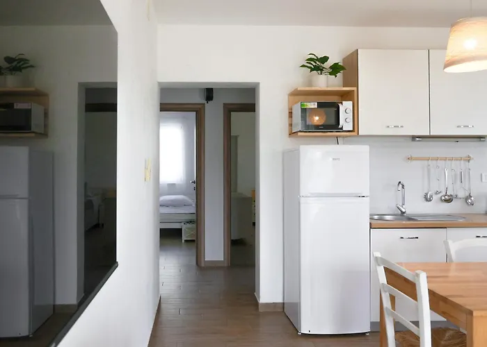 Laura ברודאריצה